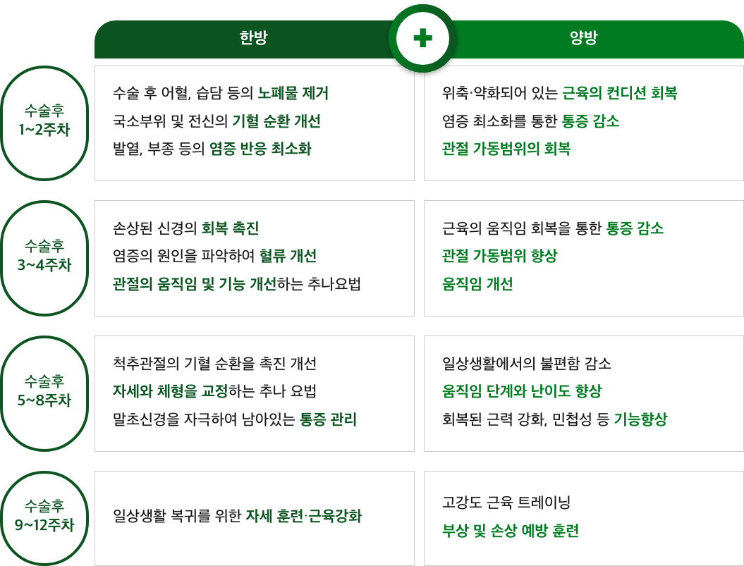 체계적인 수술 후 재활치료 프로그램