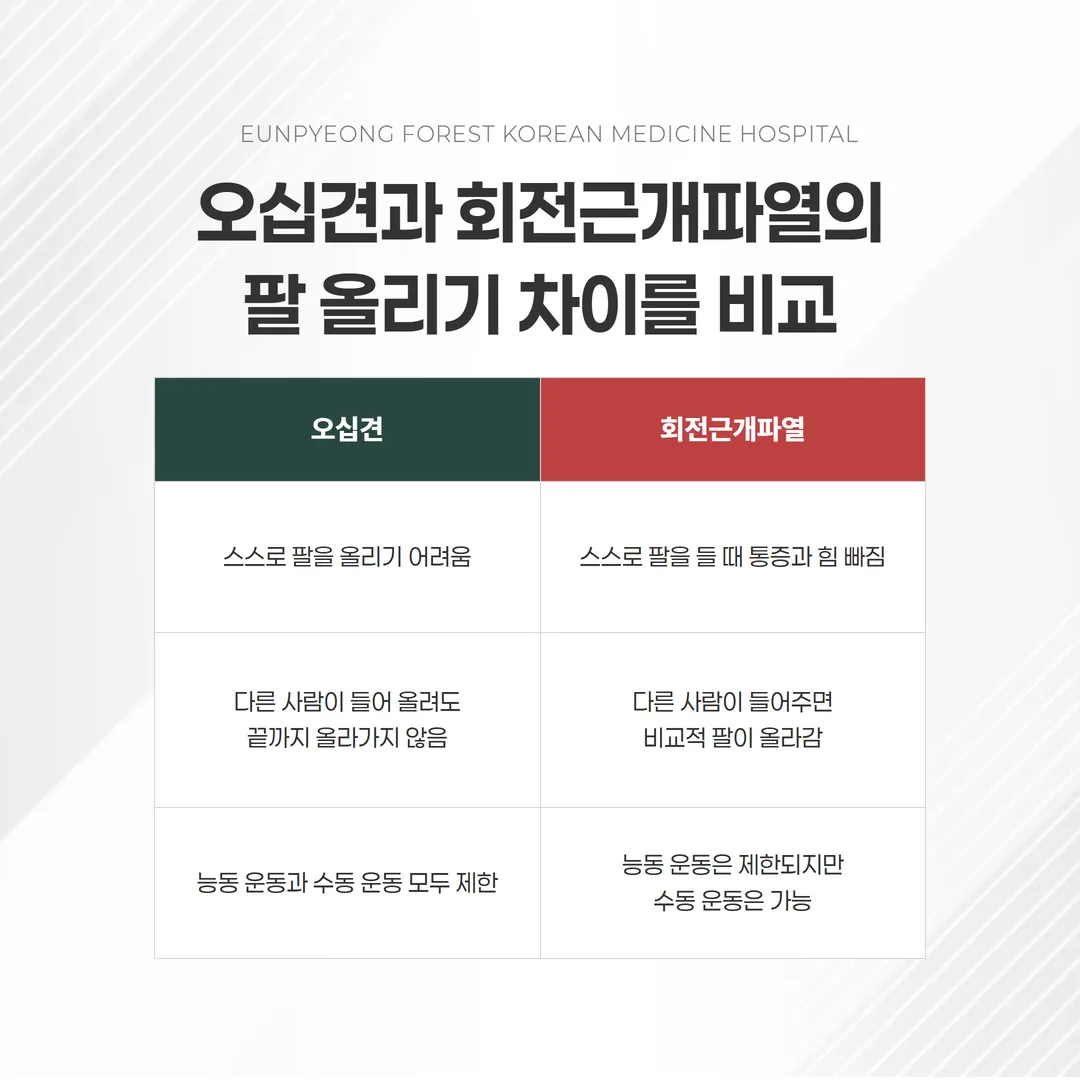 오십견 회전근개파열 능동·수동 거상 비교 그림