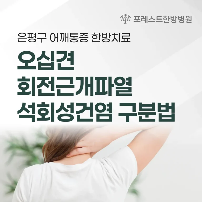 은평구 어깨통증 한방치료, 오십견·회전근개파열·석회성건염 구분법
