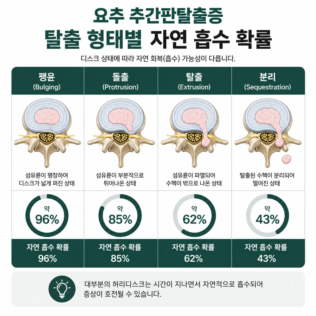 허리디스크 탈출 형태별 자연 흡수 확률 도해