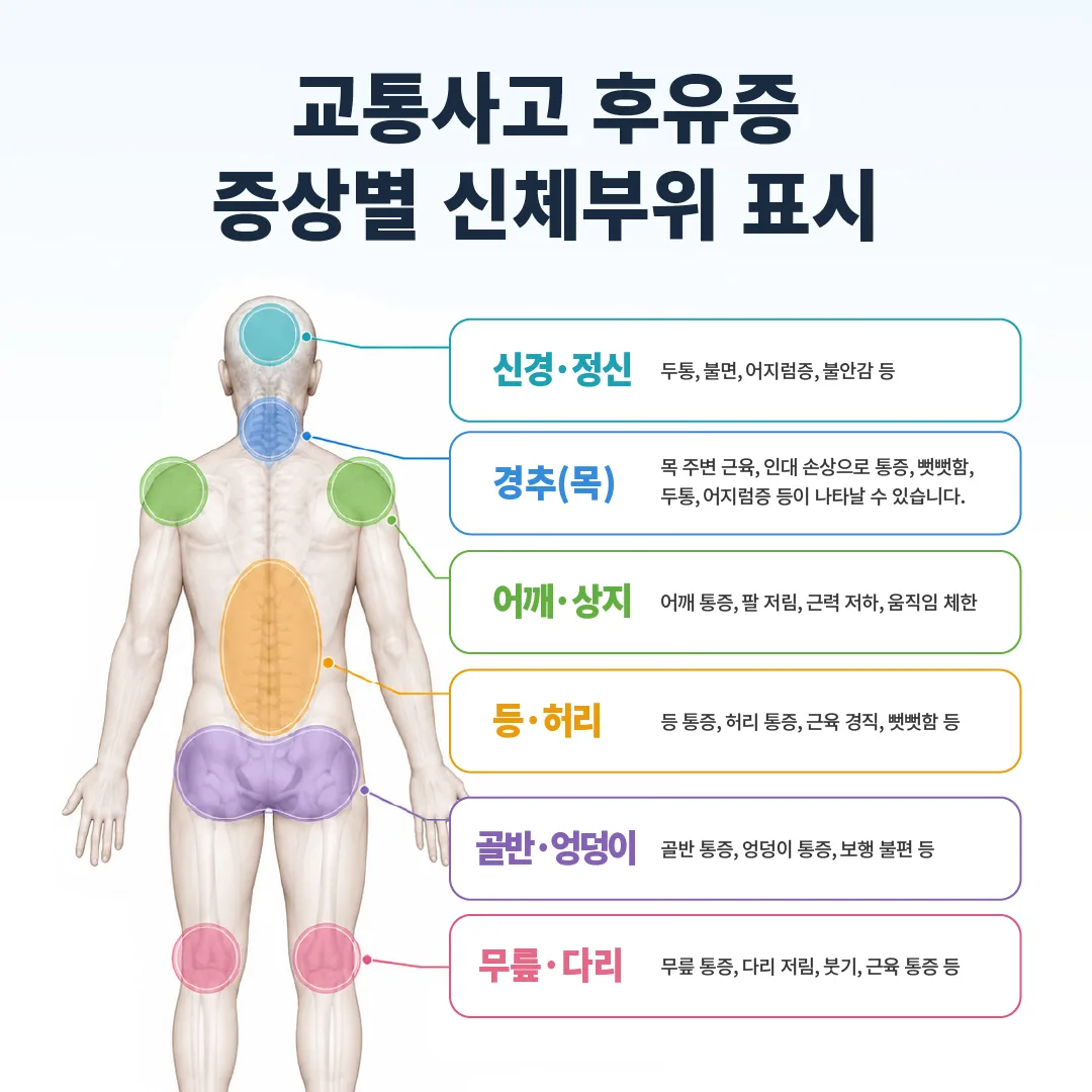 은평구한방병원 포레스트 교통사고 후유증 한방치료