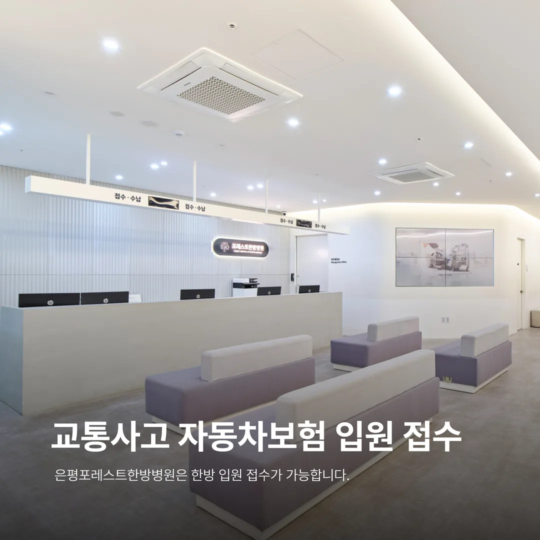 교통사고 자동차보험 입원 접수 절차