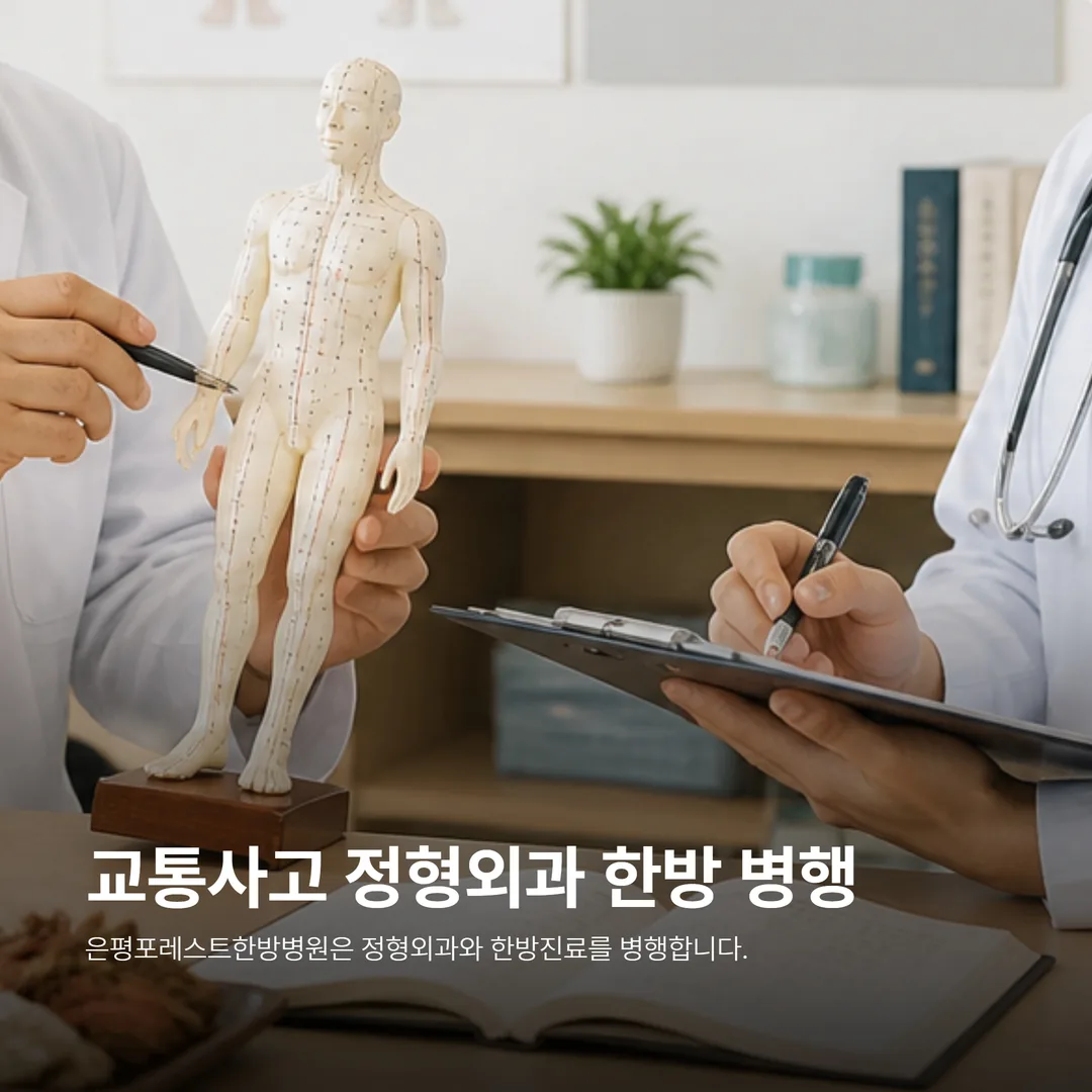 교통사고 정형외과 한방 병행 진료 안내