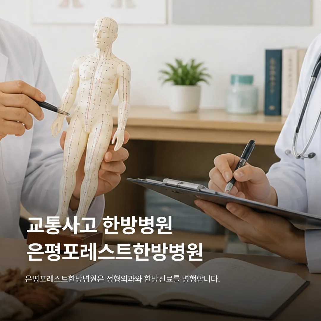 은평구 교통사고 한방병원 은평포레스트한방병원 안내