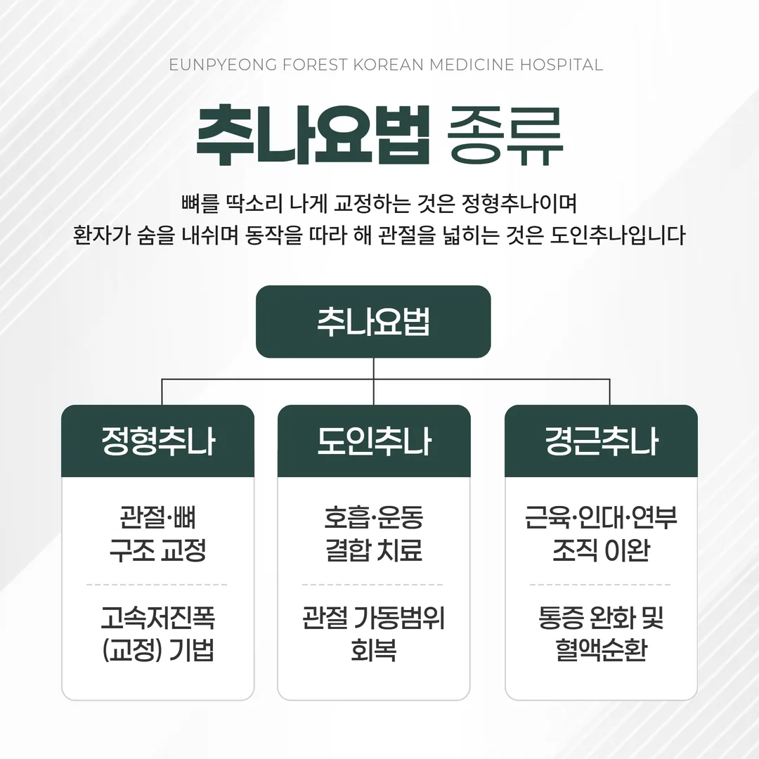 정형추나와 도인추나로 구분되는 추나요법의 종류