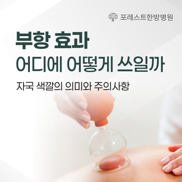 부항 효과, 어디에 어떻게 쓰일까 — 자국 색깔의 의미와 주의사항 (은평구)