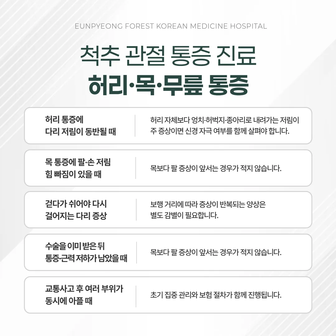 척추 관절 통증 진료가 필요한 신호와 관찰 기준 도해