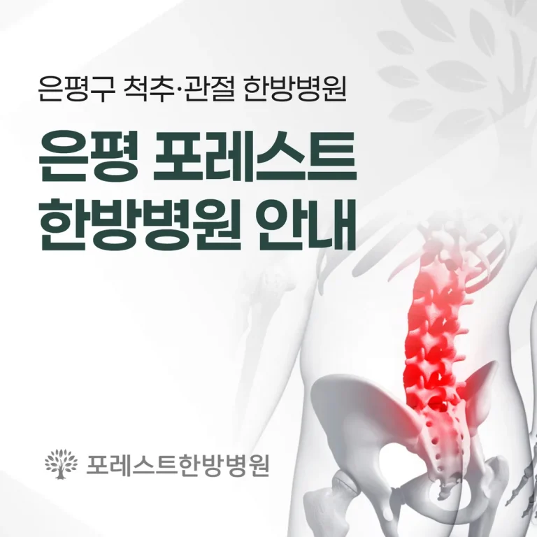 은평구 척추·관절 한방병원, 포레스트 안내