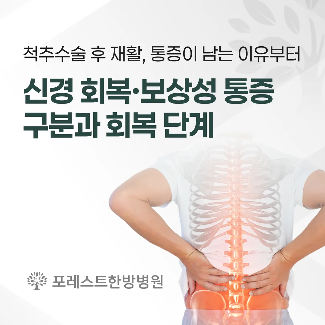척추수술 후 재활, 통증이 남는 이유부터 — 신경 회복·보상성 통증 구분과 회복 단계