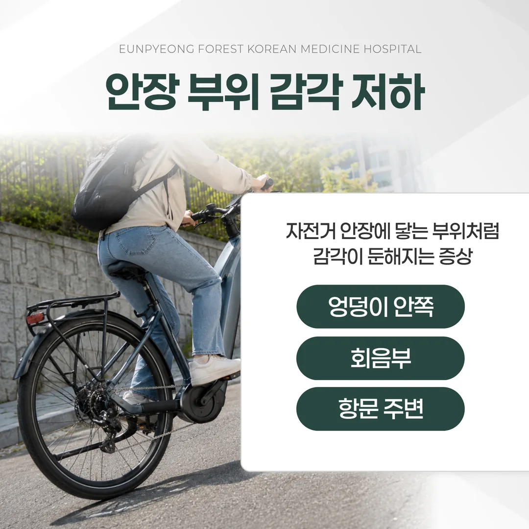 마미증후군 안장 부위 감각 저하 범위 도해