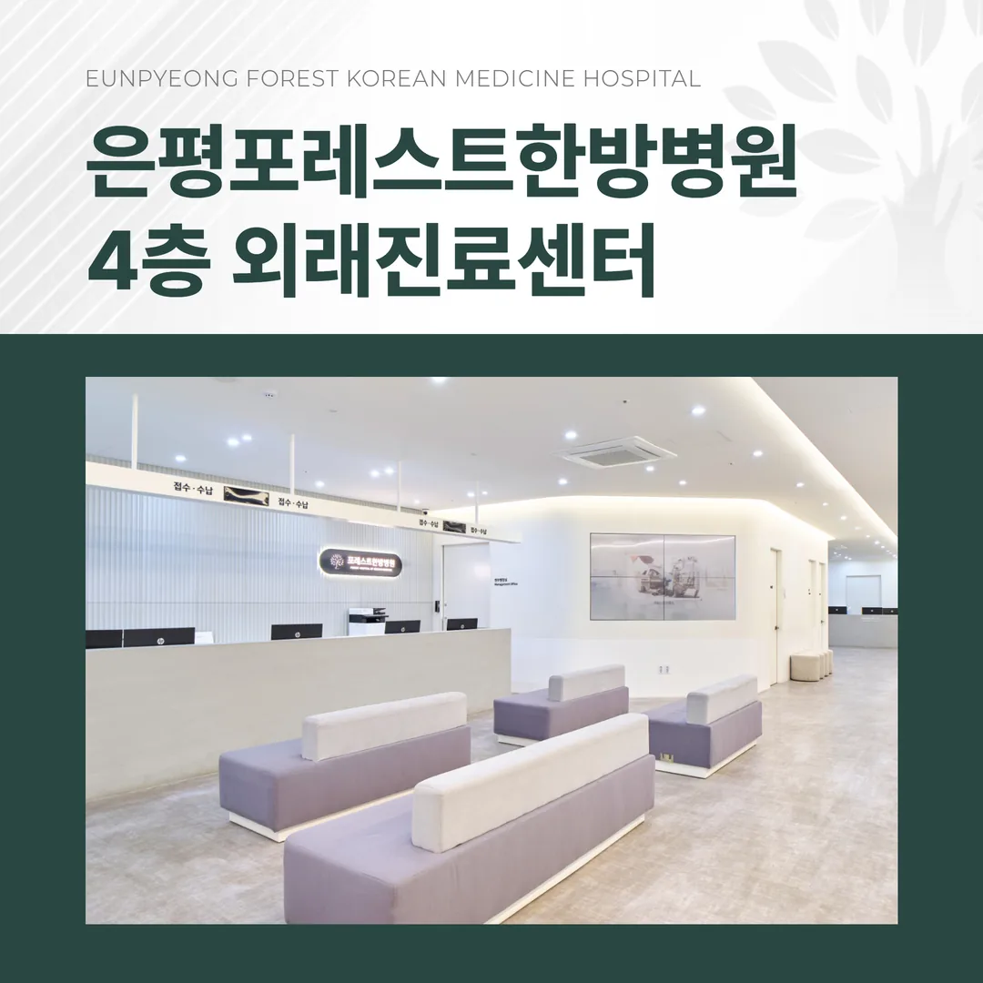 은평구 은평포레스트한방병원 외래 접수