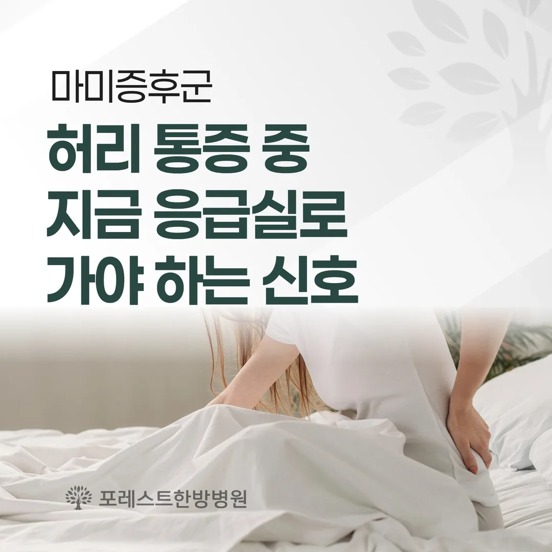 마미증후군, 허리 통증 중 지금 응급실로 가야 하는 신호
