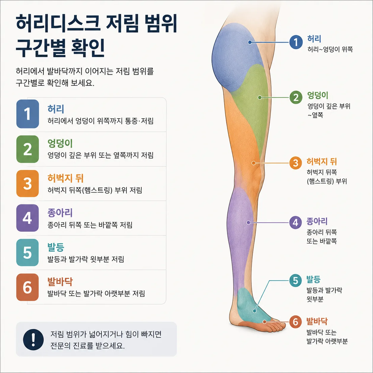 허리디스크 저림 범위 구간별 확인 도해
