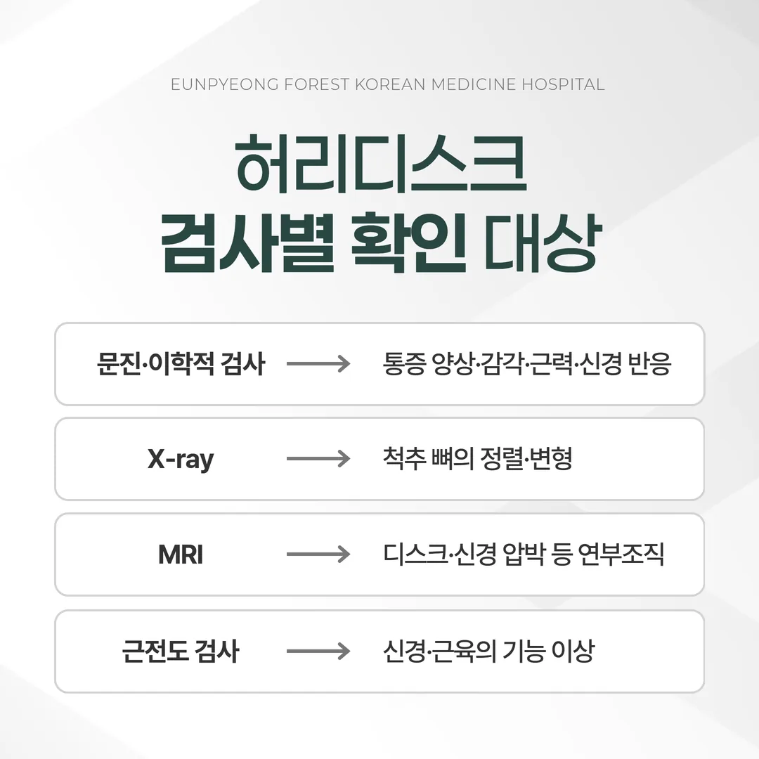 허리디스크 검사별 확인 대상 비교 도표