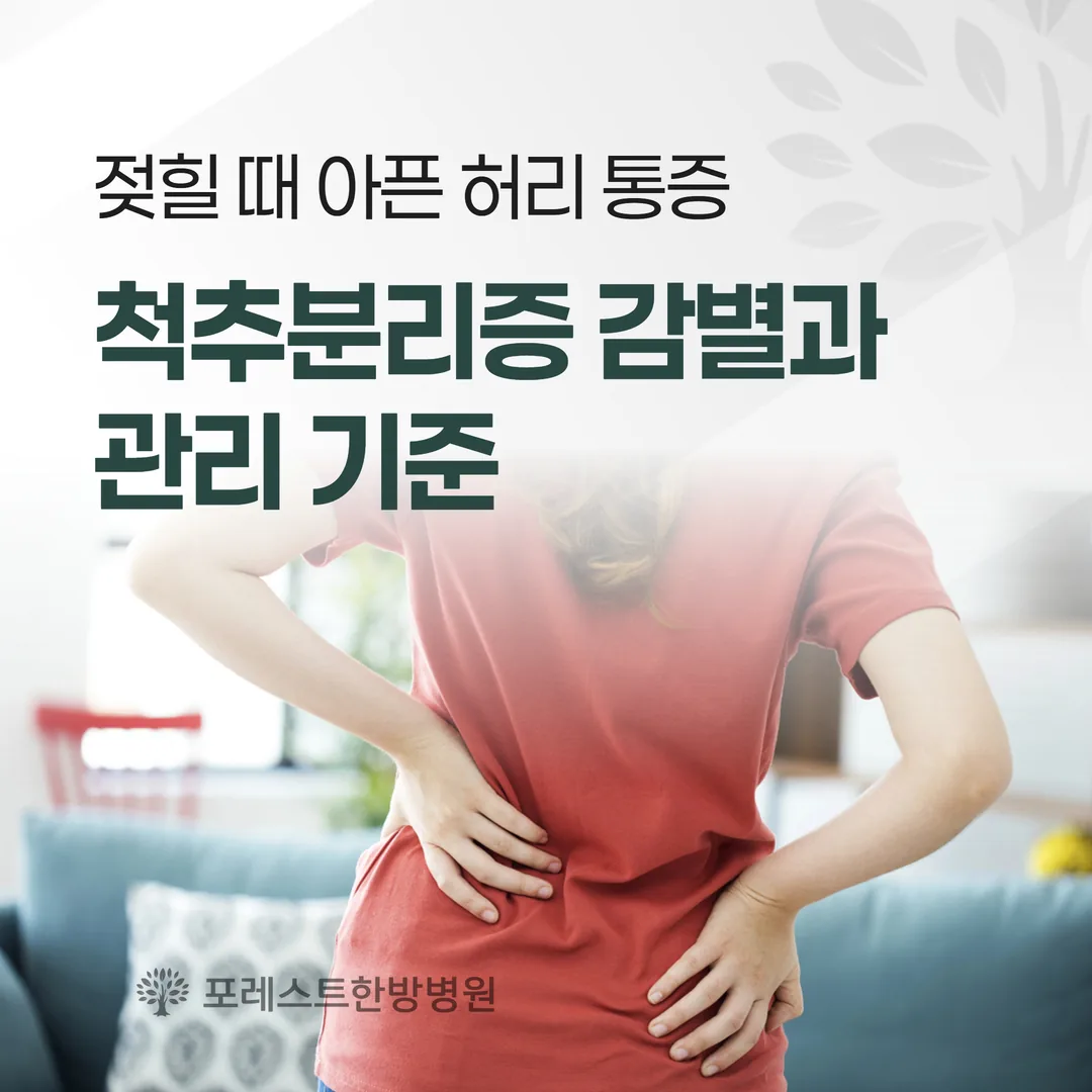 젖힐 때 아픈 허리 통증 — 척추분리증 감별과 관리 기준