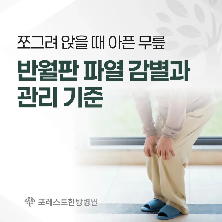 쪼그려 앉을 때 아픈 무릎 — 반월판 파열 감별과 관리 기준