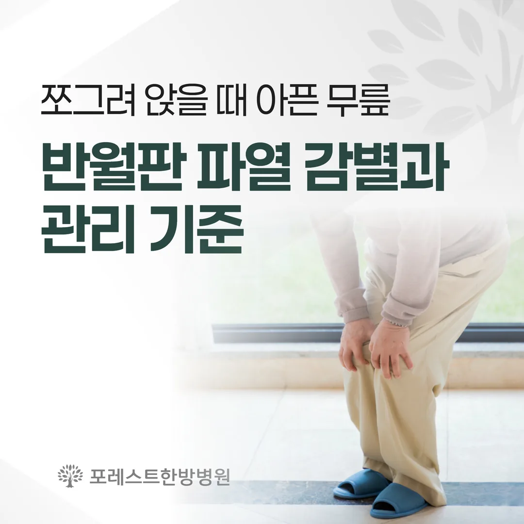 쪼그려 앉을 때 아픈 무릎 — 반월판 파열 감별과 관리 기준
