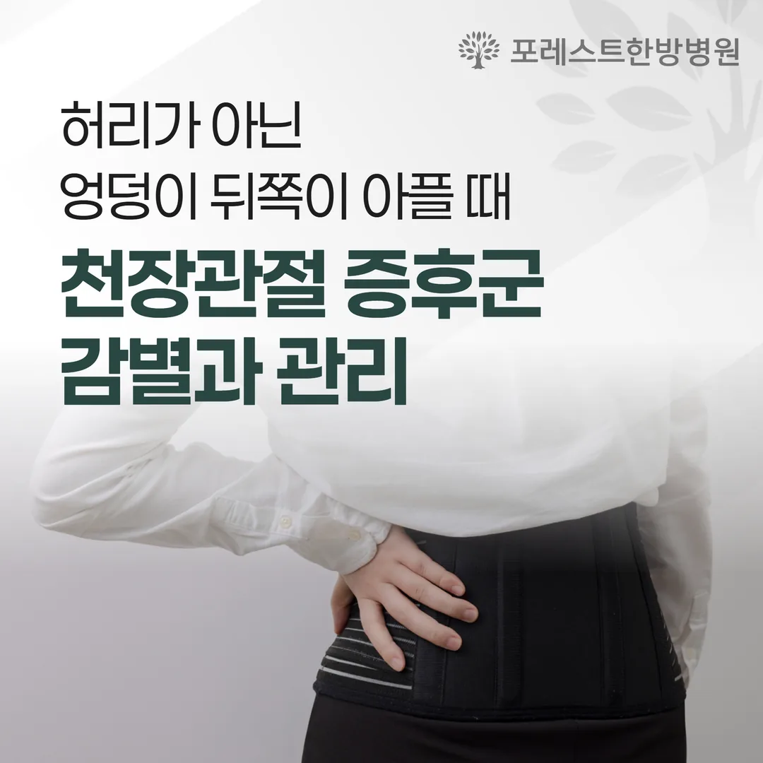 허리가 아닌 엉덩이 뒤쪽이 아플 때 — 천장관절 증후군 감별과 관리