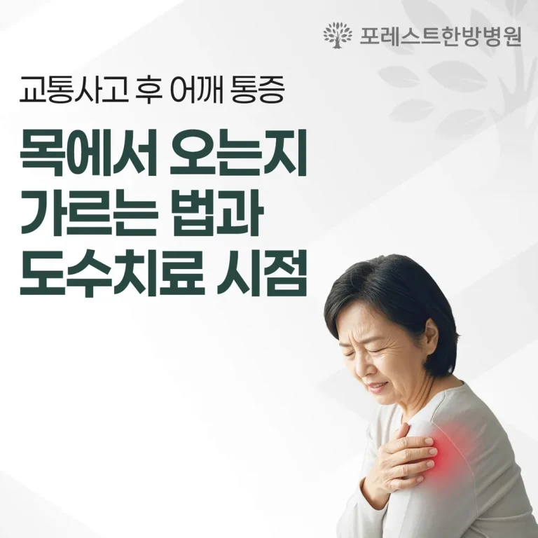교통사고 후 어깨 통증, 목에서 오는지 가르는 법과 도수치료 시점