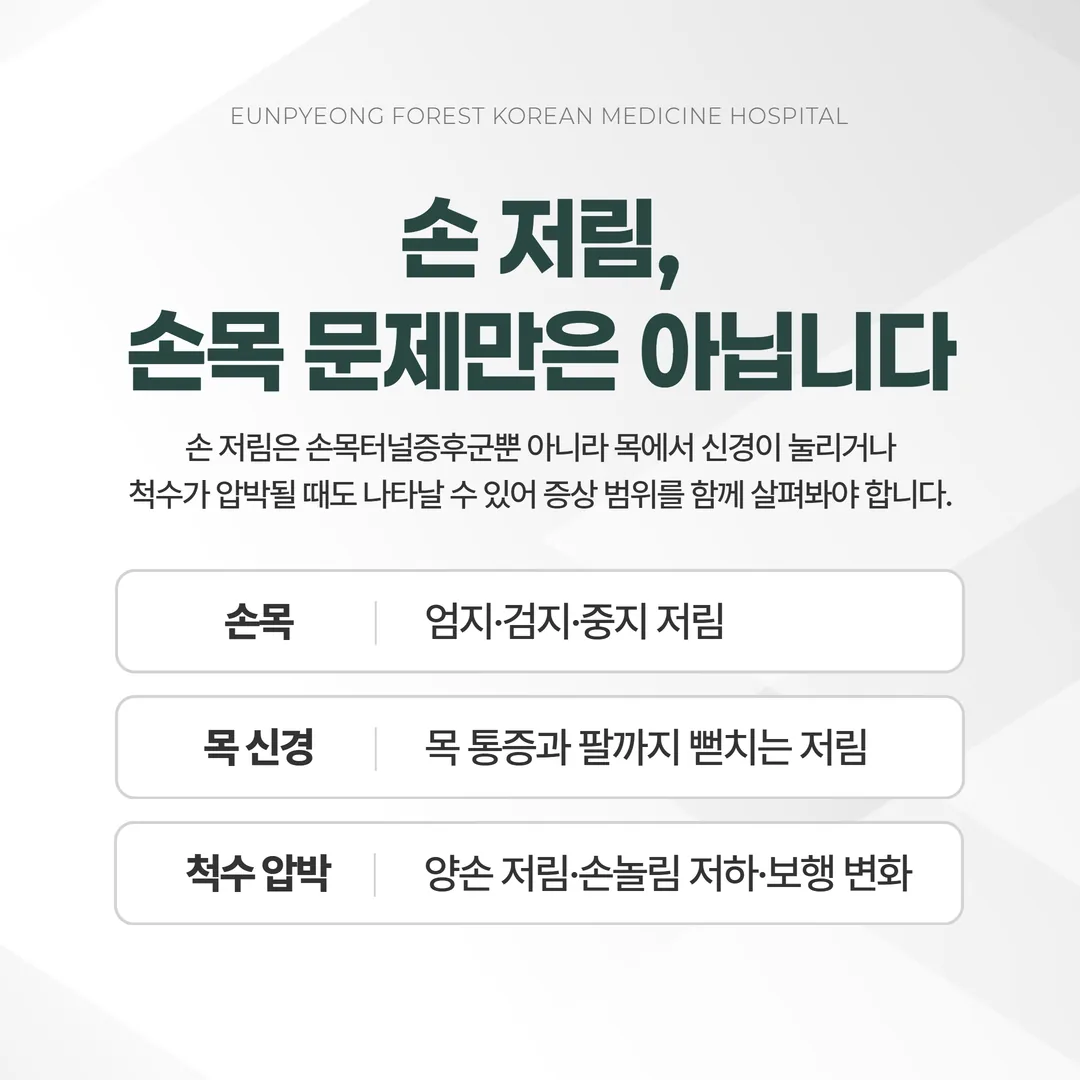 손 저림 원인을 손목터널증후군, 경추 신경근증, 경추 척수증으로 나누는 판단 흐름도