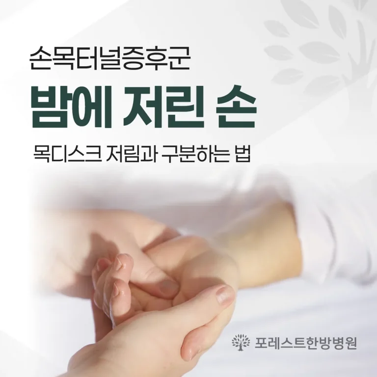 손목터널증후군, 밤에 저린 손 — 목디스크 저림과 구분하는 법