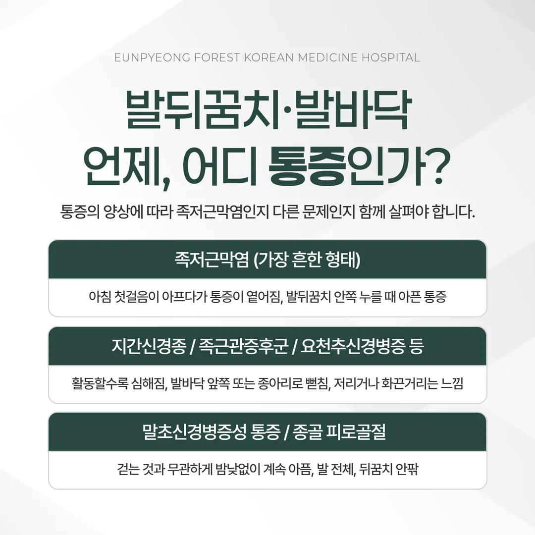 통증 시점과 위치로 나눈 발뒤꿈치 통증 감별 도식