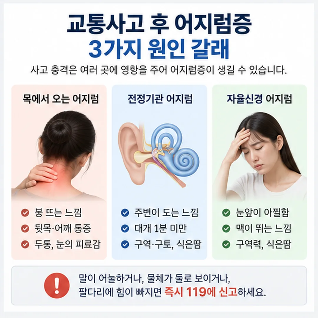 교통사고 어지럼증의 세 가지 원인 갈래를 정리한 개념도