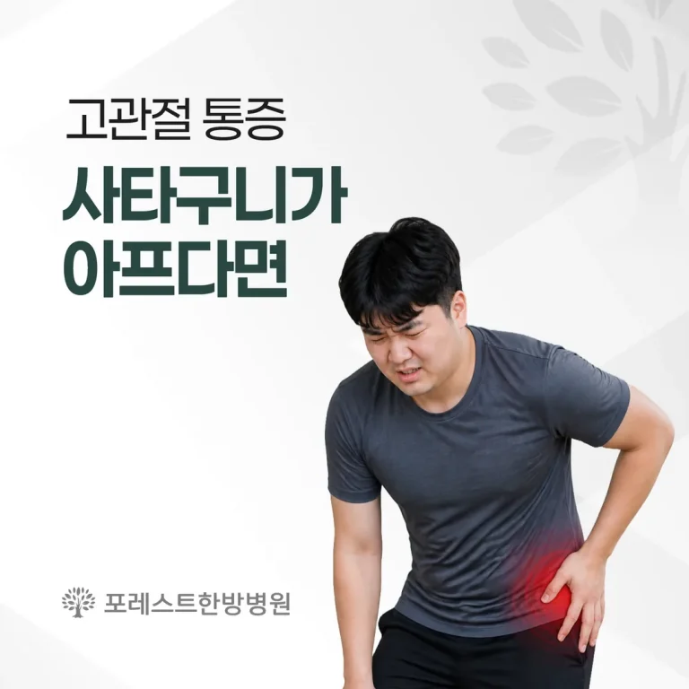 고관절 통증, 사타구니가 아프다면 — 허리 문제와 구분 기준