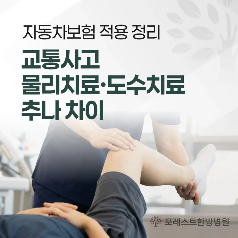 교통사고 물리치료·도수치료·추나 차이 — 자동차보험 적용 정리