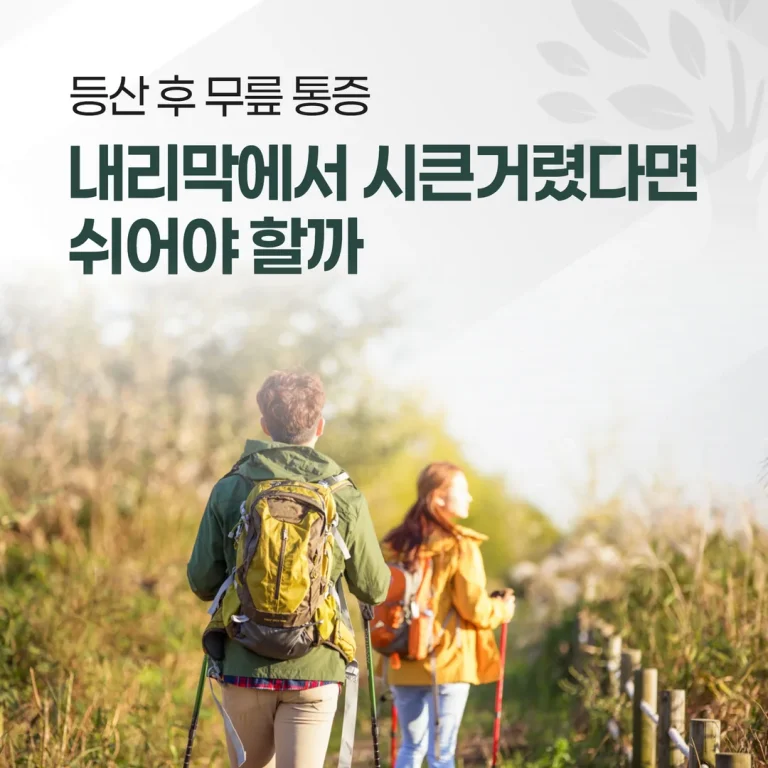 등산 후 무릎 통증, 내리막에서 시큰거렸다면 쉬어야 할까